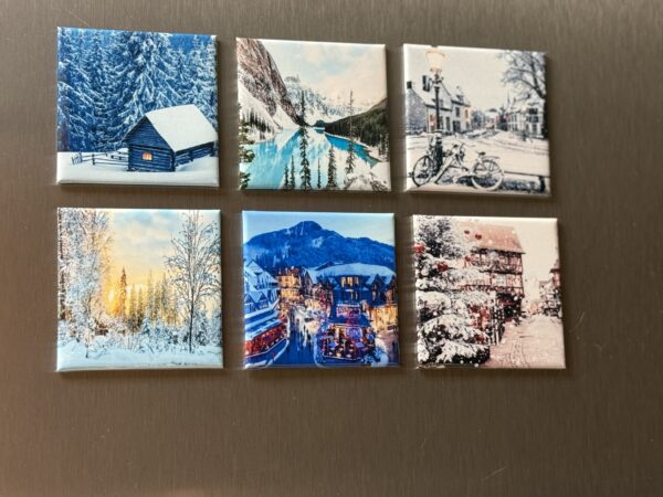 6 pc Fridge Magnets